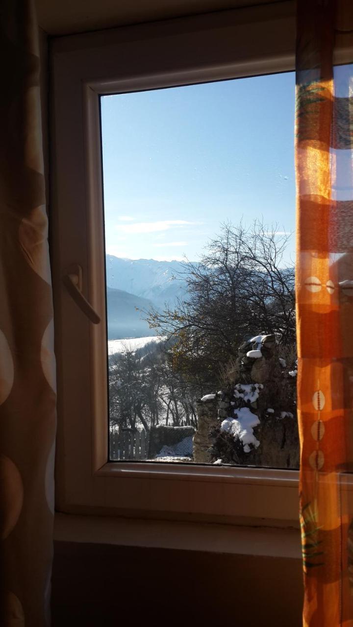 Irina Lextagi Hotel Mestia Bagian luar foto