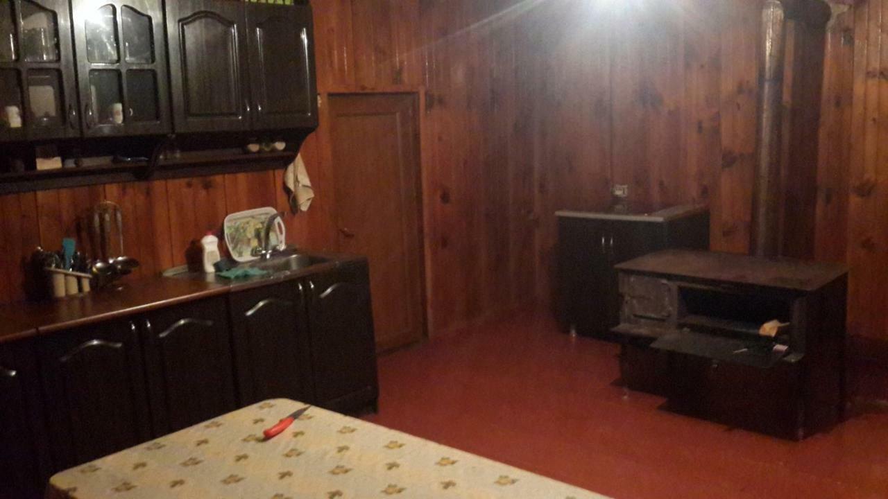 Irina Lextagi Hotel Mestia Bagian luar foto