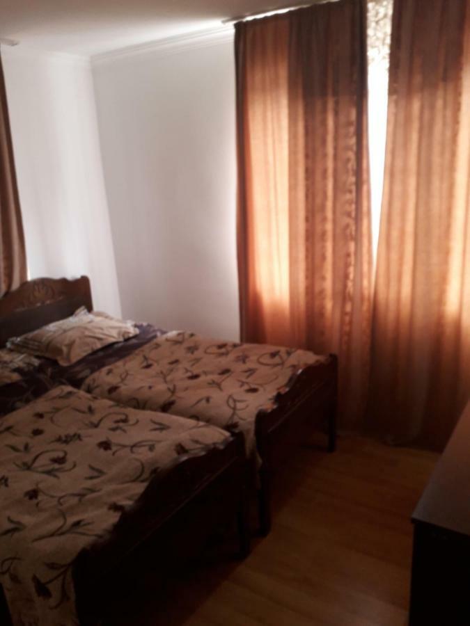 Irina Lextagi Hotel Mestia Bagian luar foto