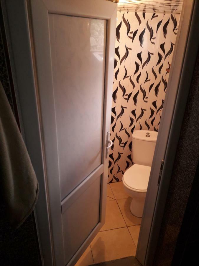 Irina Lextagi Hotel Mestia Bagian luar foto